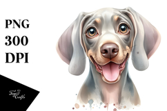 Cute Weimaraner Watercolor PNG Product Image 1