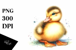 Cute Baby Duck Watercolor PNG Product Image 3