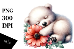 Cute Sleeping Baby Polar Bear, PNG Product Image 1