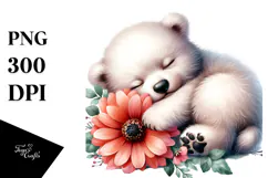 Cute Sleeping Baby Polar Bear, PNG Product Image 1