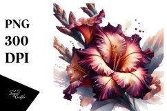 Detailed Shiny Gladiolus | Clipart Product Image 3