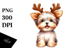 Expressive Yorkipoo PNG Product Image 1