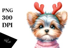 Expressive Yorkipoo PNG Product Image 1