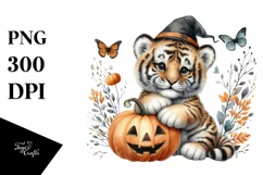 Baby Tiger Holding Halloween Pumpkin PNG Product Image 3