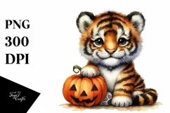 Baby Tiger Holding Halloween Pumpkin PNG Product Image 1