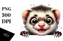 Funny Popping Eyes Ferret | Sublimation | Clipart Product Image 1