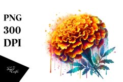 Sublimation|Clipart Product Image 3