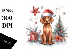 Christmas Vizsla PNG Product Image 1