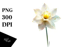 Daffodil with Golden Details, Artistic PNG Product Image 1