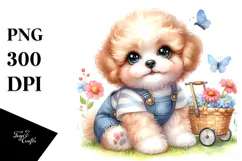 Baby Bichpoo Watercolor PNG Product Image 1