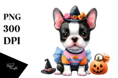 Expressive Baby Boston Terrier, Transparent PNG Product Image 1