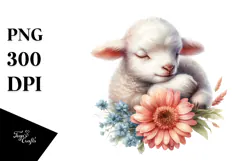 Baby Lamb Watercolor PNG Product Image 1