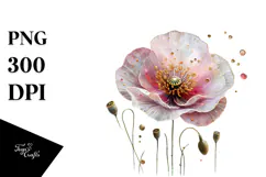 Poppy with Golden Insertions, Watercolor Splash, PNG Product Image 1