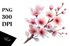 Cherry Blossom with Watercolor Splash PNG Product Image 1