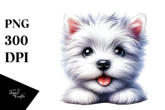 Happy West Highland White Terrier with Crazy Fur Product Image 1