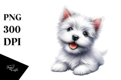 Happy West Highland White Terrier with Crazy Fur Product Image 1