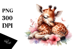 Sleeping Baby Giraffe PNG Product Image 1