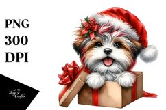 Enthusiastic Havanese PNG Product Image 3