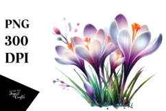 -like Crocus Watercolor Splash PNG Product Image 1
