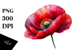 Elegant Poppy with Metallic Accents, PNG Product Image 1