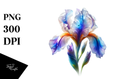 Iris with Material, Transparent PNG Product Image 1