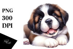 Baby Saint Bernard Watercolor PNG Product Image 1
