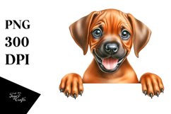 Crazy Looking Baby Rhodesian Ridgeback Clipart Product Image 3