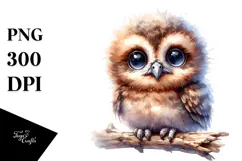 Cute Baby Owl PNG Product Image 1