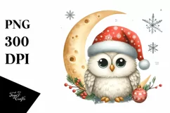 Cute Winter Owl with Santa Hat PNG Product Image 3