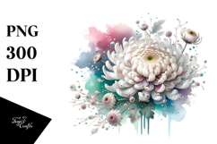 Chrysanthemum, Colorful PNG Product Image 1