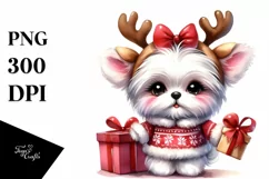 Winter Maltese with Gift Box, Transparent PNG Product Image 1