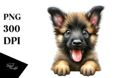 Colorful Baby Malinois with Big Eyes PNG Product Image 1