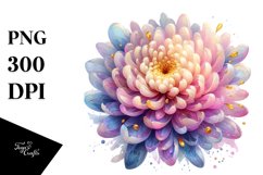 Chrysanthemum in Pastel, Translucent PNG Product Image 3