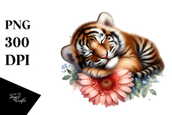Sleeping Baby Tiger PNG Product Image 1