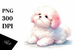 Cute Bichpoo Illustration, High-Res PNG Product Image 3