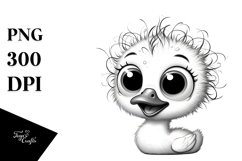 Crazy Looking Small Baby Swan Smiling | Clipart Product Image 3