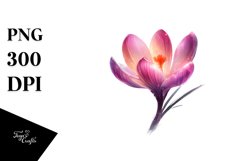 Shiny Crocus Watercolor Splash Product Image 3