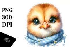 Cute Baby Chicken with Clothes PNG Product Image 1