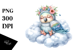 Cute Baby Parrot Cloud PNG Product Image 1