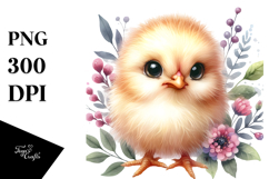 Cute Chicken Portrait, Transparent PNG Product Image 1
