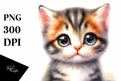 Cute Baby Cat with Big Eyes PNG Product Image 3