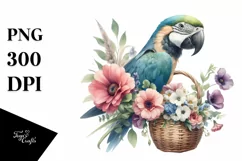 Boho Baby Macaw with Flowers | Sublimation | Clipart Product Image 3