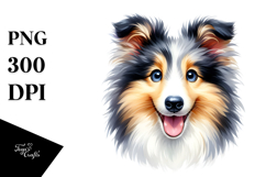 Cute Collie with Big Eyes PNG Product Image 1