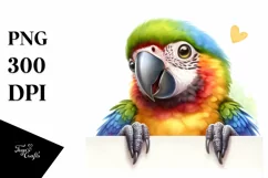 Colorful Baby Macaw Looking Over Paper | Clipart Product Image 3