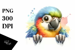 Colorful Baby Macaw Looking Over Paper | Clipart Product Image 3