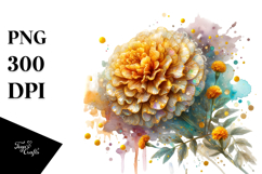 Marigold, Colorful PNG Product Image 1