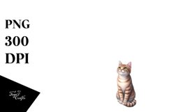 Sublimation|Clipart Product Image 3