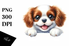 Funny Baby Cavalier King Charles Spaniel | Clipart Product Image 1