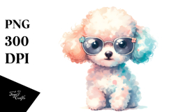 Expressive Baby Poodle PNG Product Image 1