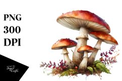 Detailed Mushroom Product Image 1